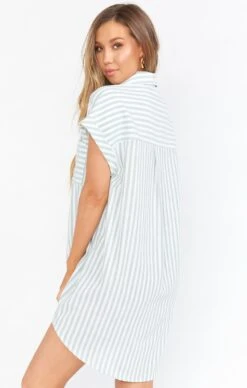 Show Me Your Mumu Martin Shirt Dress ~ Sage Stripe -Show Me Your Mumu Sales BS0 0272 SS73 03