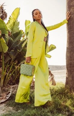 Show Me Your Mumu Irwin Pants ~ Citrine Luxe Satin -Show Me Your Mumu Sales DSC 0424