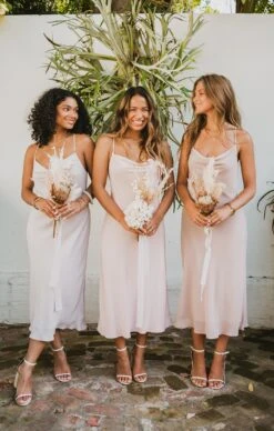 Show Me Your Mumu Verona Cowl Dress ~ Dusty Blush Crisp -Show Me Your Mumu Sales DSC 4307