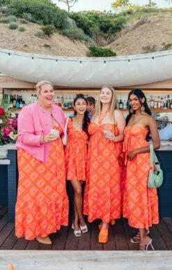 Show Me Your Mumu Midge Midi Dress ~ Malibu Daisy -Show Me Your Mumu Sales DSC 8276