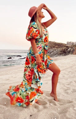 Show Me Your Mumu Standout Maxi Dress ~ Mimosa Blooms -Show Me Your Mumu Sales IMG 2195