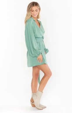 Show Me Your Mumu Chloe Collared Dress ~ Sage Slinky Stretch -Show Me Your Mumu Sales MF2 5295 SG41 02