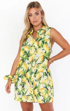 Show Me Your Mumu Basic Button Up Dress ~ Citrus Stretch